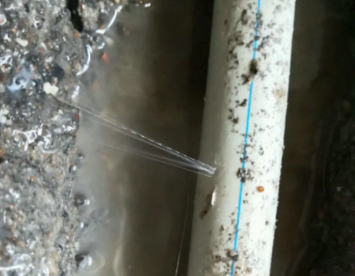 新昌测漏水哪家好