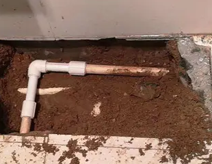 新昌测漏水哪家好