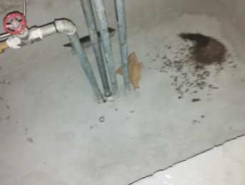 新昌卫生间测漏水价格明细