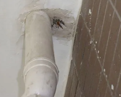 新昌漏水检测哪家好